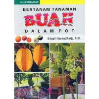 Image of Bertanam tanaman buah dalam pot