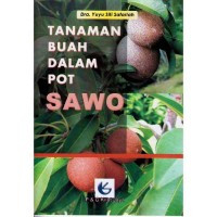 Image of Tanaman buah dalam pot: sawo