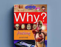 Image of Why? anatomy=anatomi
